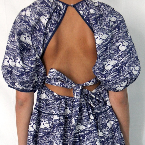 Swan Dress - Picture 3 of 3